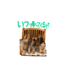 かわいいヨーキー親子 Rin Kou Chai（個別スタンプ：8）