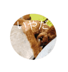 ばるとまめ（個別スタンプ：2）