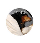 ばるとまめ（個別スタンプ：6）