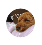 ばるとまめ（個別スタンプ：7）