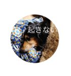 ばるとまめ（個別スタンプ：8）