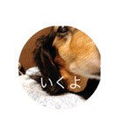 ばるとまめ（個別スタンプ：10）
