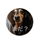 ばるとまめ（個別スタンプ：11）