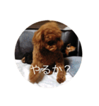 ばるとまめ（個別スタンプ：17）