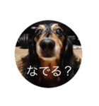 ばるとまめ（個別スタンプ：19）