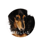 ばるとまめ（個別スタンプ：21）