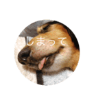 ばるとまめ（個別スタンプ：23）