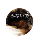 ばるとまめ（個別スタンプ：24）