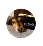 ばるとまめ（個別スタンプ：25）