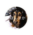 ばるとまめ（個別スタンプ：27）