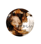 ばるとまめ（個別スタンプ：29）