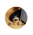 ばるとまめ（個別スタンプ：31）