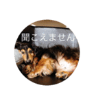 ばるとまめ（個別スタンプ：39）