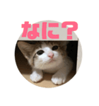 レオヨナくん（個別スタンプ：3）