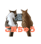 レオヨナくん（個別スタンプ：4）