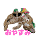 レオヨナくん（個別スタンプ：8）