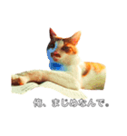 ねこのネロくん（個別スタンプ：3）