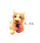 ねこのネロくん（個別スタンプ：14）