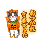 ねこのハロウィンスタンプ～日常会話～（個別スタンプ：5）