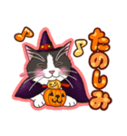 ねこのハロウィンスタンプ～日常会話～（個別スタンプ：19）