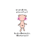 ブタちゃんの戯言（個別スタンプ：21）