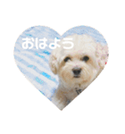 もこもこ★もこちゃん（個別スタンプ：4）