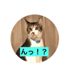 リアルふくちゃん（個別スタンプ：3）