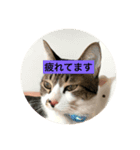 リアルふくちゃん（個別スタンプ：4）