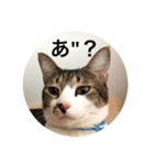 リアルふくちゃん（個別スタンプ：6）