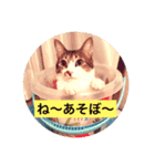 リアルふくちゃん（個別スタンプ：7）