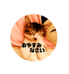 サミー＆福（個別スタンプ：1）