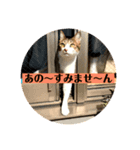 サミー＆福（個別スタンプ：7）