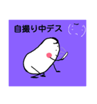 玉っ子5（個別スタンプ：10）