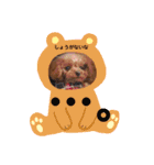 シェリ第2弾（個別スタンプ：1）