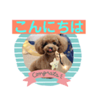シェリ第2弾（個別スタンプ：2）