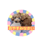 シェリ第2弾（個別スタンプ：3）