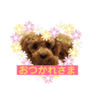シェリ第2弾（個別スタンプ：7）