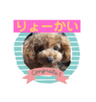 シェリ第2弾（個別スタンプ：14）