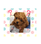 シェリ第2弾（個別スタンプ：16）