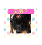 シェリ第2弾（個別スタンプ：18）