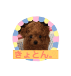 シェリ第2弾（個別スタンプ：19）