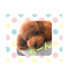 シェリ第2弾（個別スタンプ：21）