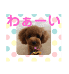 シェリ第2弾（個別スタンプ：22）