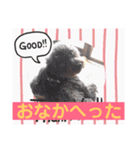 シェリ第2弾（個別スタンプ：24）