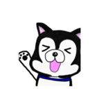 顔でうったえるハスキー（個別スタンプ：4）