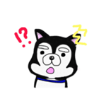 顔でうったえるハスキー（個別スタンプ：6）