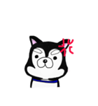 顔でうったえるハスキー（個別スタンプ：8）