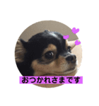 あいらぶランディ（個別スタンプ：4）
