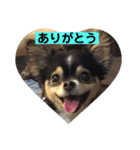 あいらぶランディ（個別スタンプ：5）