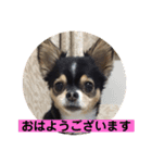 あいらぶランディ（個別スタンプ：10）